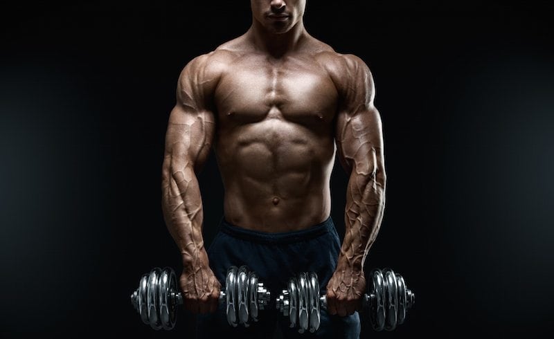 Muscle Gains